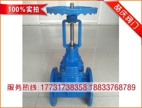 DN150明桿軟密封閘閥